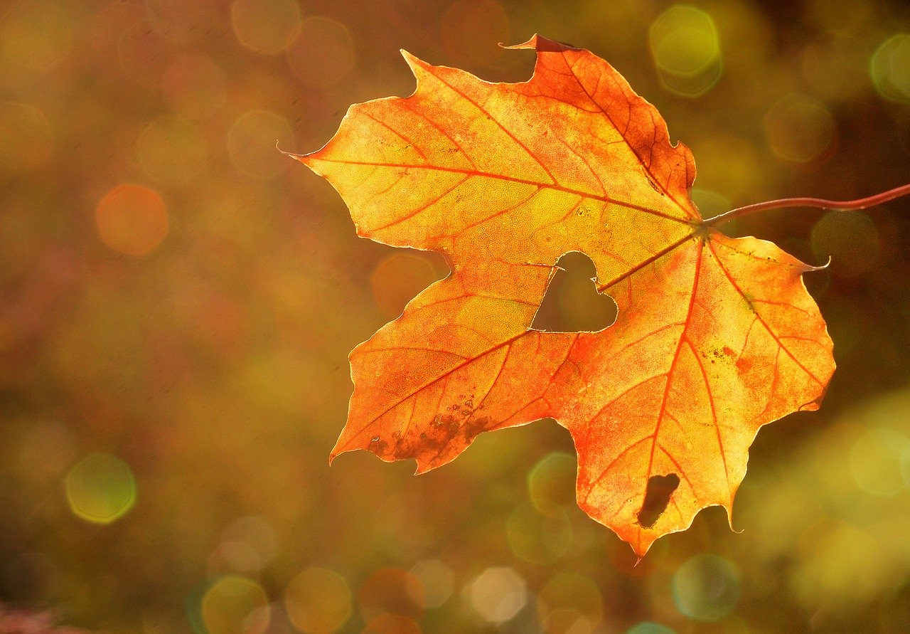 heart-1776746_1280 Herbst-Coaching für Mütter