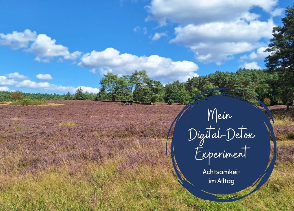 Mein Digital-Detox-Experiment als Mama