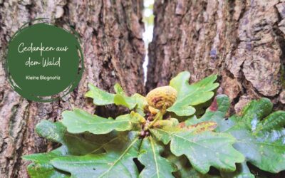 Gedanken aus dem Wald