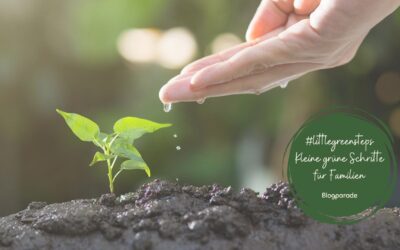 #littlegreensteps – Kleine grüne Schritte für Familien & meine Arbeit als Elterncoach